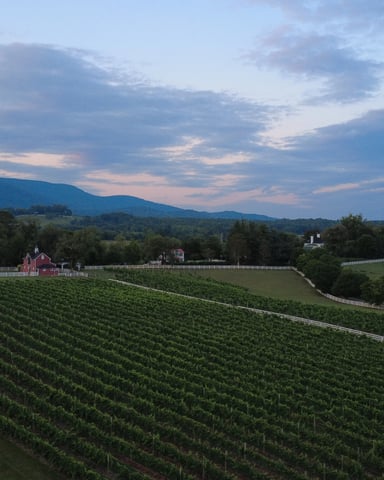Vineyard landscape with red barn, white fencing, and mountains under cloudy sky