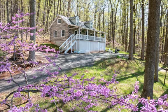 Stonemont Farm Cabin - Image 4